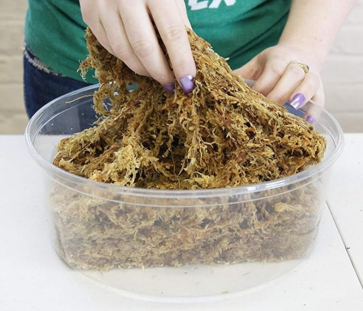 Musgo Sphagnum para Cultivo 6 Litros