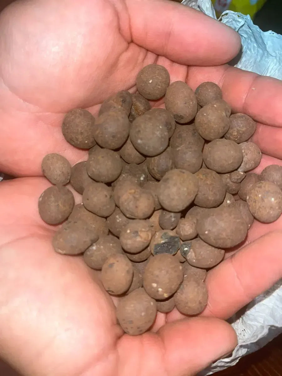 Cultivo Leca, Arlita o Arcilla Expandida 2 Litros