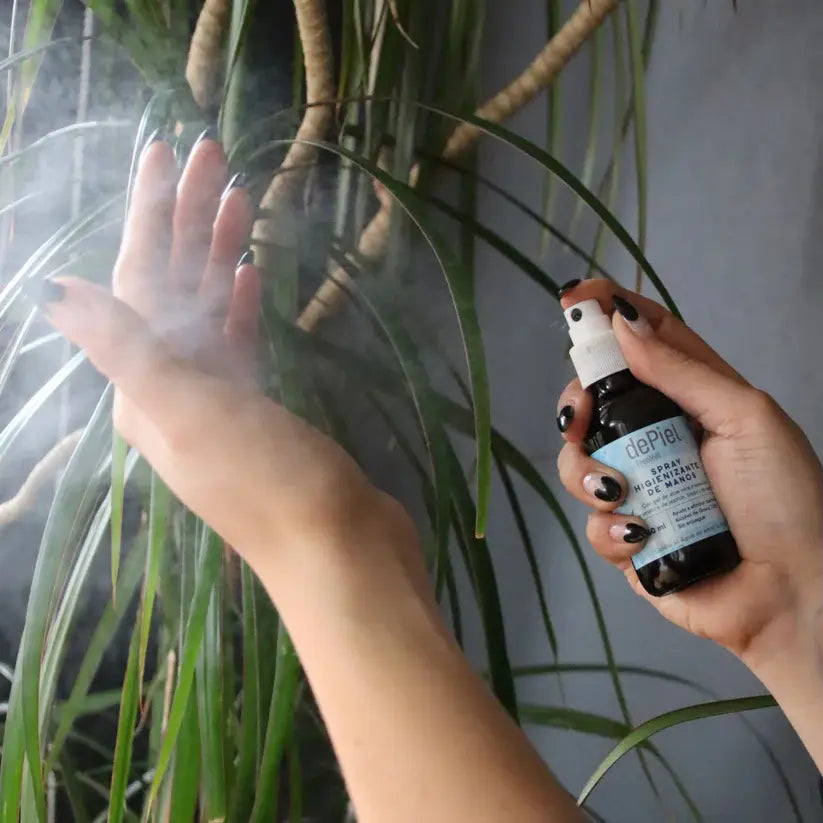 Jabon Higienizante De Manos Spray 60 Ml - Freemet