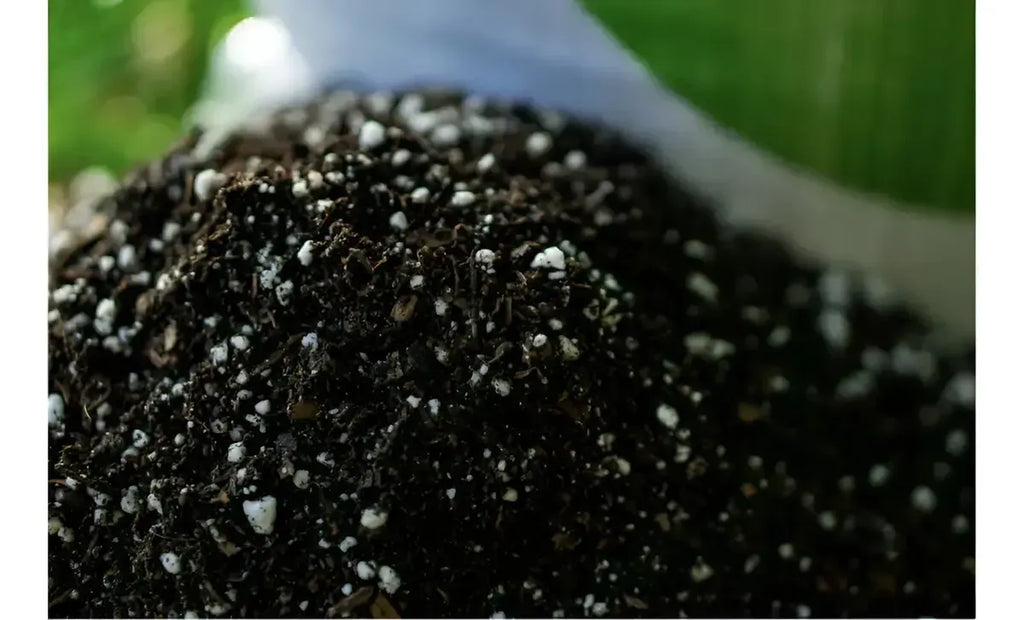 Sustrato Premium Con Compost 10 Litros